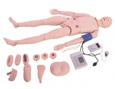 高級成人護(hù)理模型