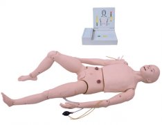 高級成人護(hù)理及CPR模型人