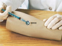 高級(jí)手臂皮內(nèi)注射模型
