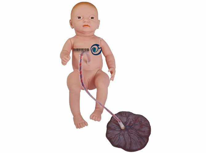 高級(jí)新生兒臍帶護(hù)理模型