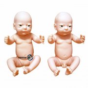 高級出生嬰兒模型