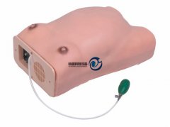 高級(jí)電腦孕婦檢查模型
