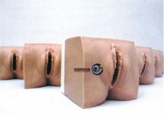 高級產(chǎn)前宮頸變化與產(chǎn)道關(guān)系模型