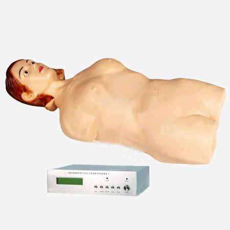 數(shù)字遙控式電腦腹部觸診模擬人