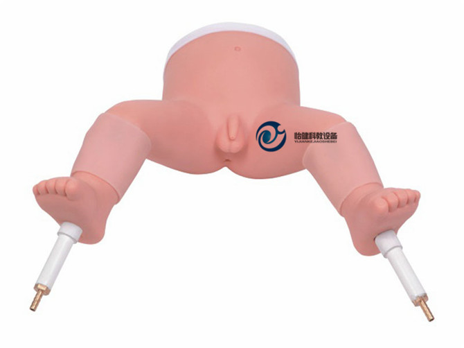 嬰兒骨髓穿刺模型