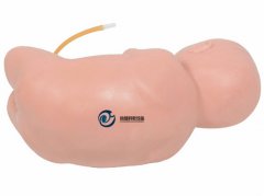 高級(jí)嬰兒腰椎穿刺模型