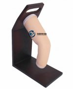 高級電子肩關(guān)節(jié)腔內(nèi)注射模型