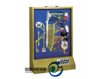 自主神經(jīng)分布模型