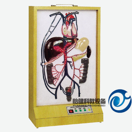 電動(dòng)門靜脈側(cè)支循環(huán)模型