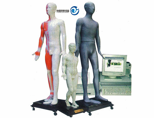 人體針灸穴位發(fā)光模型
